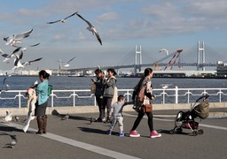 tp15050-120